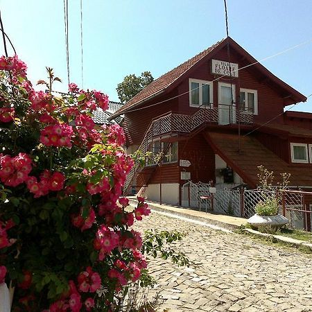 Pensiunea Floare De Colt Sinaia Esterno foto