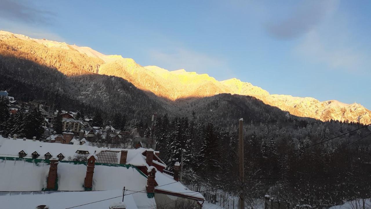 Pensiunea Floare De Colt Sinaia Esterno foto