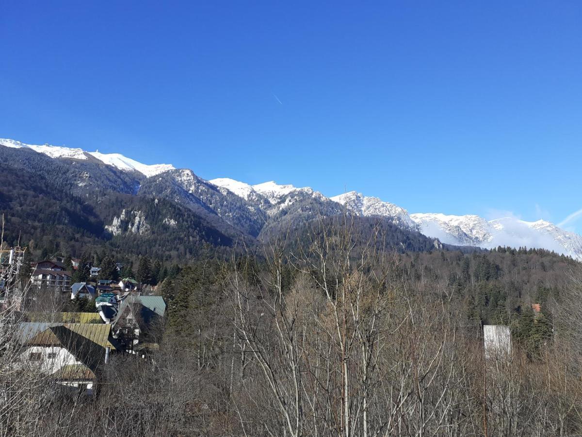 Pensiunea Floare De Colt Sinaia Esterno foto